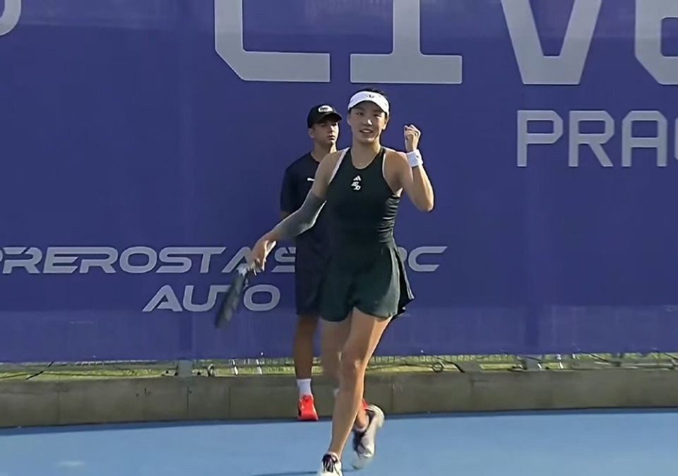 数据统计表 数据统计表